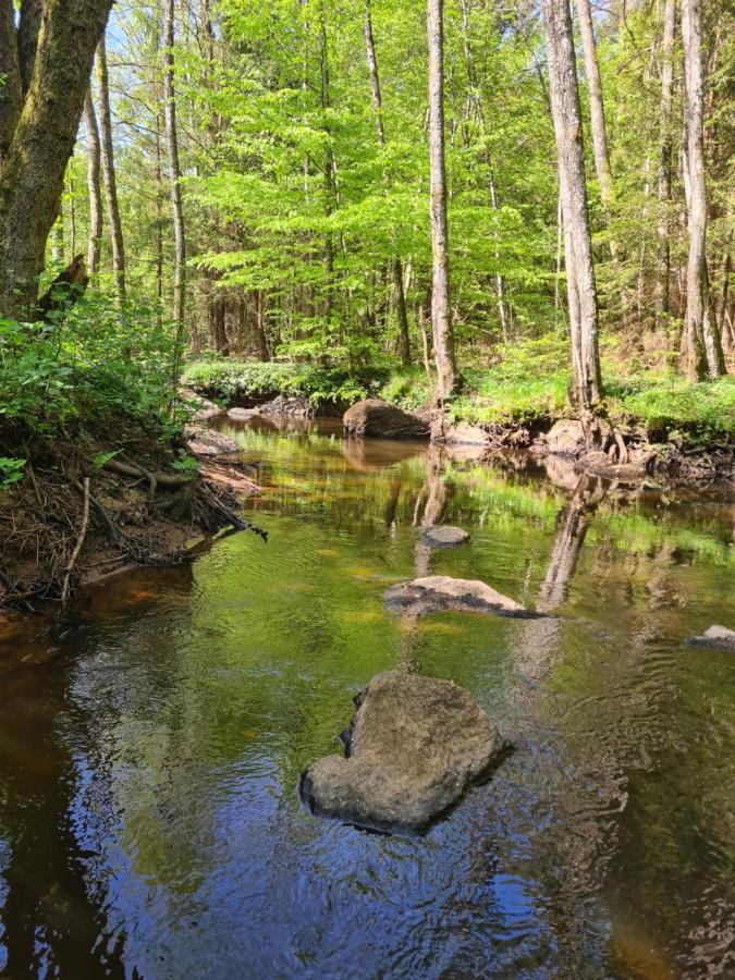 Byskolansvandrarhem Bronnestad Esterno foto